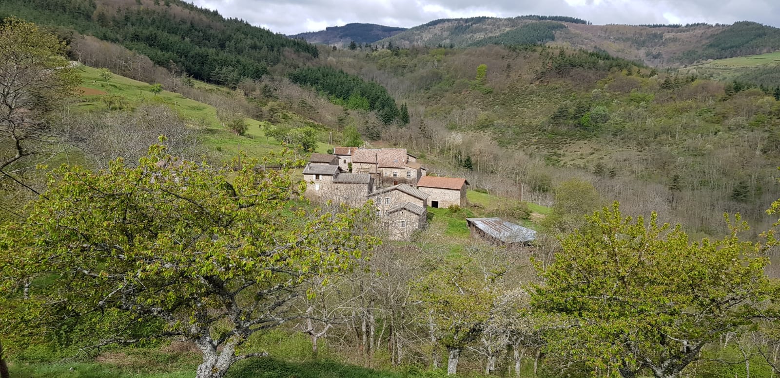 Admirez la splendeur des logements au sein de l'Ardèche, nichés dans un cadre naturel exceptionnel. Découvrez l'authenticité avec Les Échoppes de Longefaye, votre refuge de choix pour une expérience unique en pleine nature.