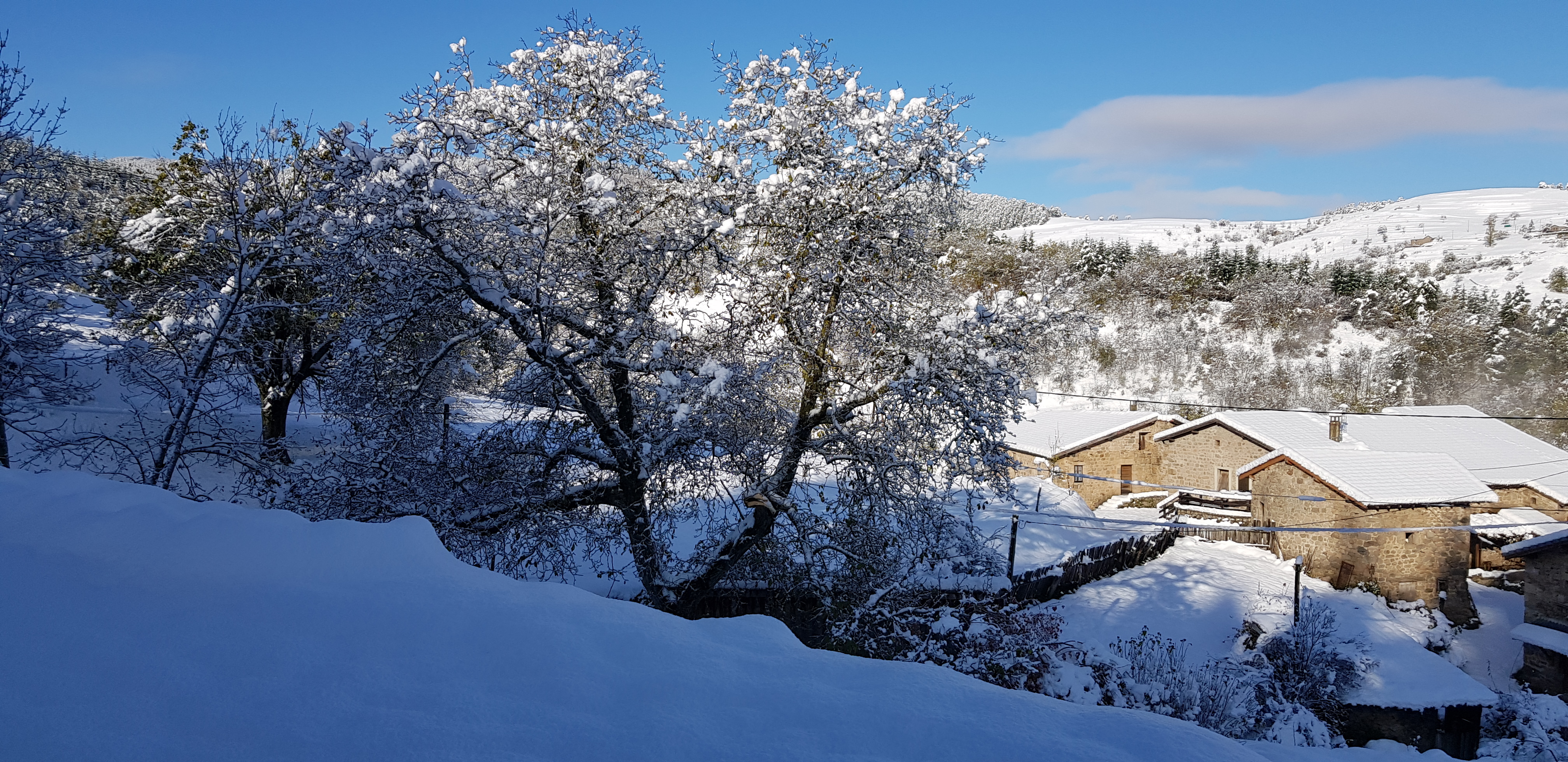 Explorez notre galerie photos : découvrez l'intérieur chaleureux de nos logements et la beauté naturelle de l'Ardèche. Les Échoppes de Longefaye vous invitent à une expérience unique dans ce cadre enchanteur.